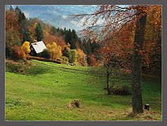 photo "***"