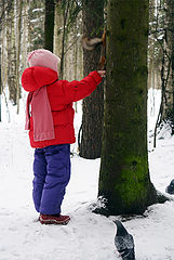 photo "to feed a squirrel"