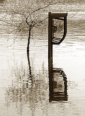 фото "flood"