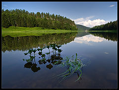 фото "Урал, река Чусовая / 0172_0081"