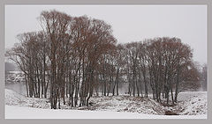 photo "November..."