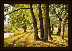 photo "Returning in September"
