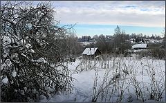 photo "The winter dream"