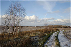 photo "* * *"
