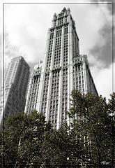 photo "The Woolworth Building"