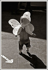 фото "the way to fly"
