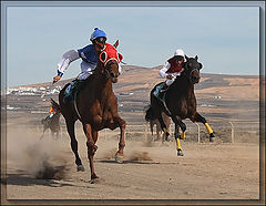 photo "Mr Red Blinkers !"
