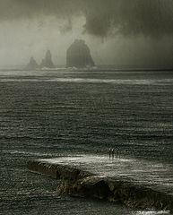 photo "Sad holiday of a rain"