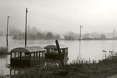 photo "Railway moods"