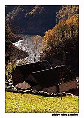 photo "autumn"