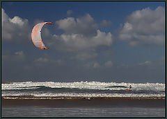 photo "The Surf Jockey !"