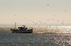 фото "Back to Harbour"