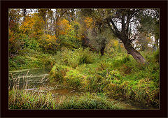 photo "The river Kurumka"