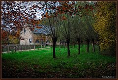 photo "Behind the willow trees !!"