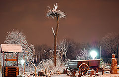 photo "***"