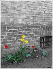 photo "Colors Of Life"