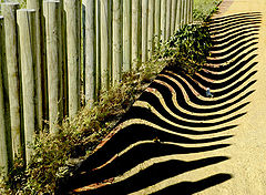 фото "Mad Shadows"