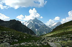 photo "***"