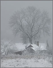 фото "Зимняя дремота"