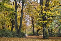 фото "Oct. 23"