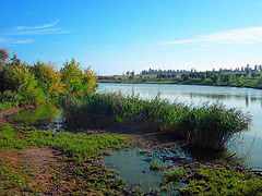 фото "Тишина"