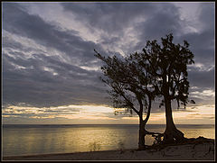 фото "Together forever"