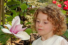 photo "I like flowers"