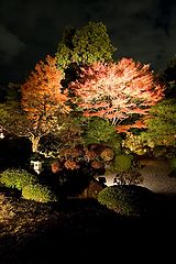 фото "Night Autumn 2"