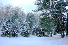фото "Зимний пейзаж"