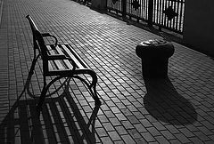 photo "Morning talk"