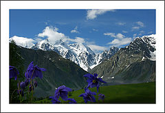 photo "***"