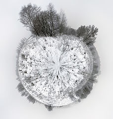 фото "Зима."