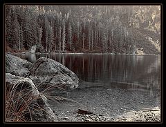 фото "Последний луч солнца (в сепии)"
