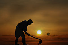 photo "Portuguese Field working man"