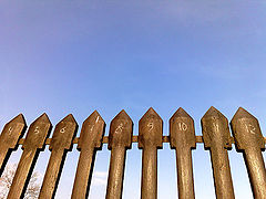 photo "The Numbers"