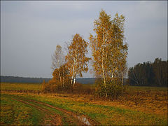 фото "Осень."