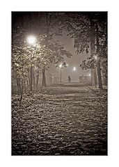 фото "Шорох листьев"