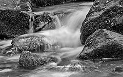 фото "pure zen"