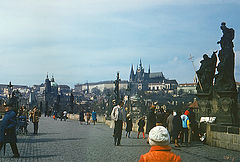 photo "Spring, Karlov bridge"