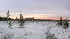 фото "Зимнее утро"