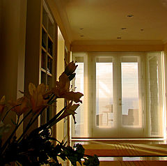 photo "Through The Window at Belvedere"