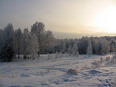 фото "Зима"