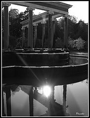 фото "чёрно-белое солнце"
