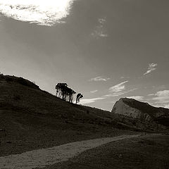 photo "Road"