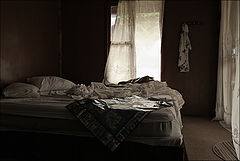 photo "***"