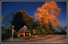 photo "Night Fall"