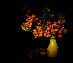 photo "***"
