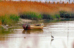 фото "Tagus Estuary"