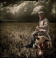 photo "Life"