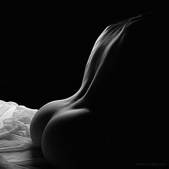 фото "*"